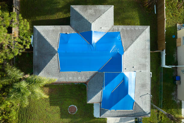Best Roof Moss and Algae Removal  in Ravensworth, VA