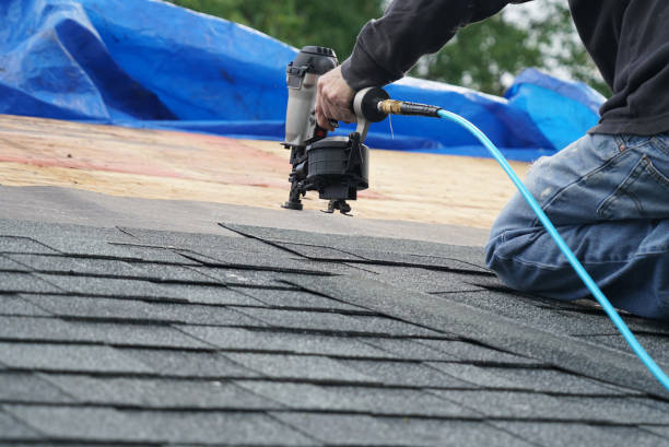 Best Roof Ventilation Installation  in Ravensworth, VA